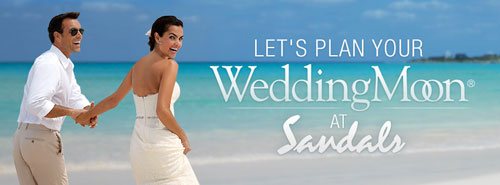 Let's Plan Your WeddingMoon at Sandals